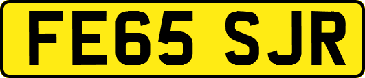 FE65SJR