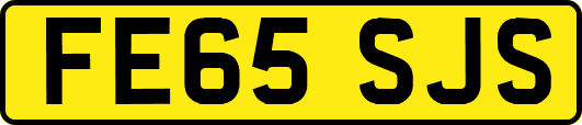 FE65SJS