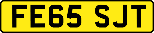 FE65SJT