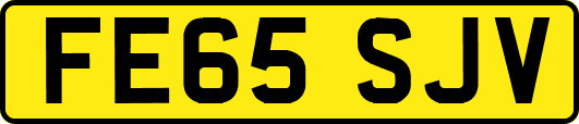 FE65SJV