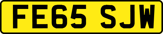 FE65SJW