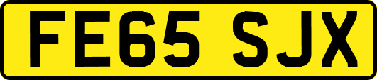 FE65SJX