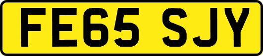 FE65SJY