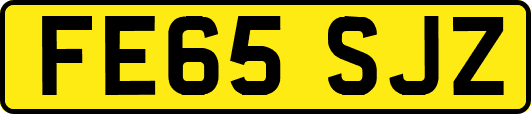 FE65SJZ