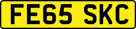 FE65SKC