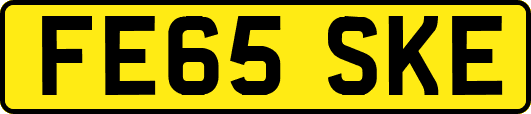 FE65SKE