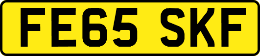 FE65SKF