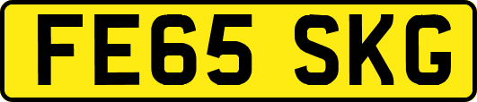 FE65SKG