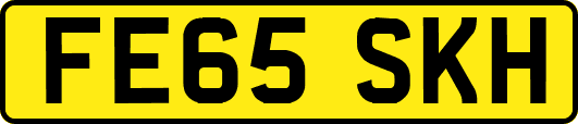 FE65SKH