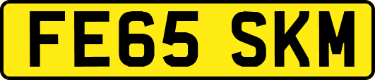 FE65SKM