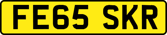 FE65SKR