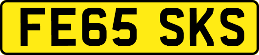 FE65SKS