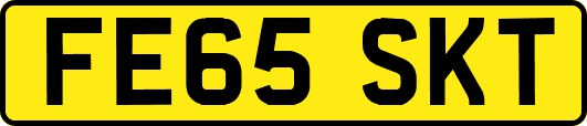 FE65SKT