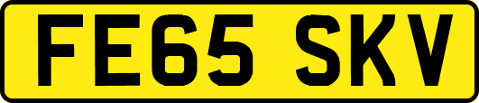 FE65SKV