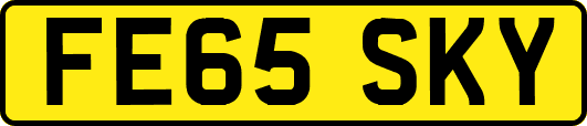 FE65SKY