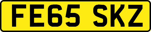 FE65SKZ