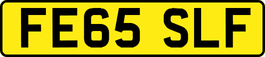 FE65SLF