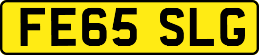 FE65SLG