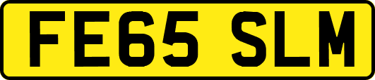 FE65SLM