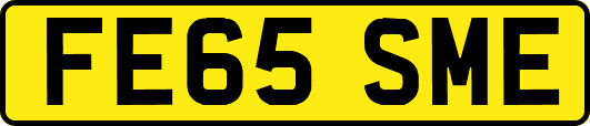 FE65SME