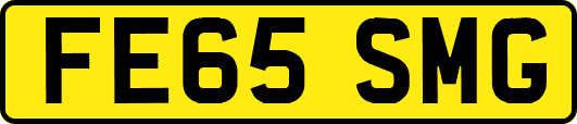 FE65SMG