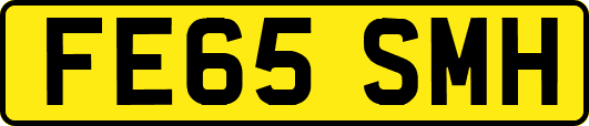 FE65SMH