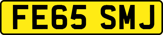 FE65SMJ