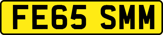 FE65SMM