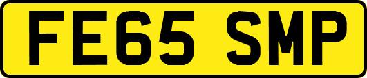 FE65SMP