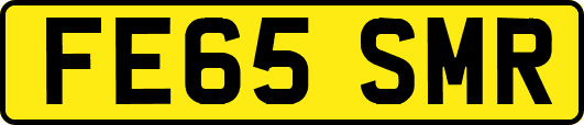 FE65SMR