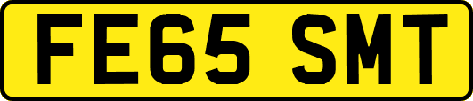 FE65SMT