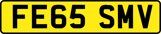 FE65SMV