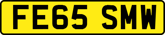 FE65SMW