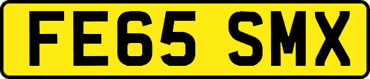 FE65SMX