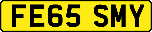 FE65SMY