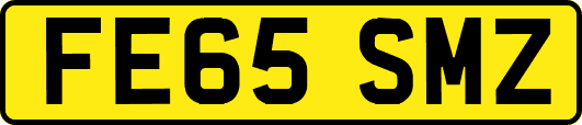 FE65SMZ