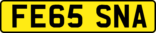 FE65SNA
