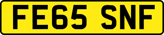 FE65SNF