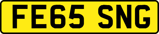 FE65SNG