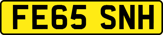 FE65SNH