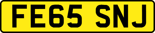 FE65SNJ