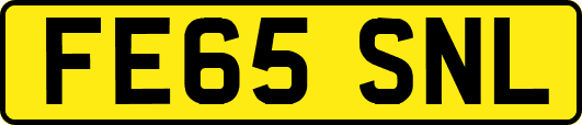 FE65SNL
