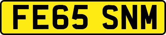 FE65SNM