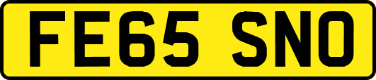 FE65SNO