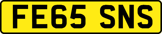 FE65SNS