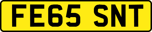 FE65SNT