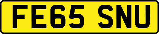 FE65SNU
