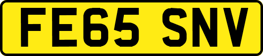 FE65SNV