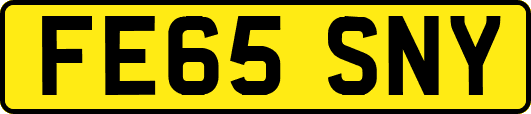 FE65SNY