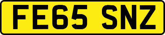 FE65SNZ